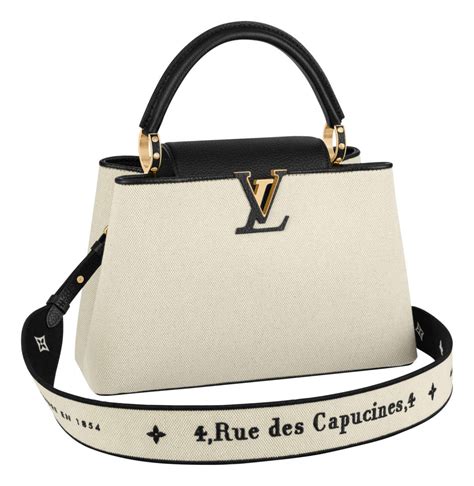 capucines bag lv|Lv capucine bag price.